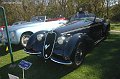 38_Alfa_2900_DV_05_Amelia_06
